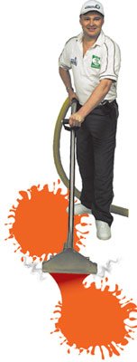 auckland carpet cleaning pic